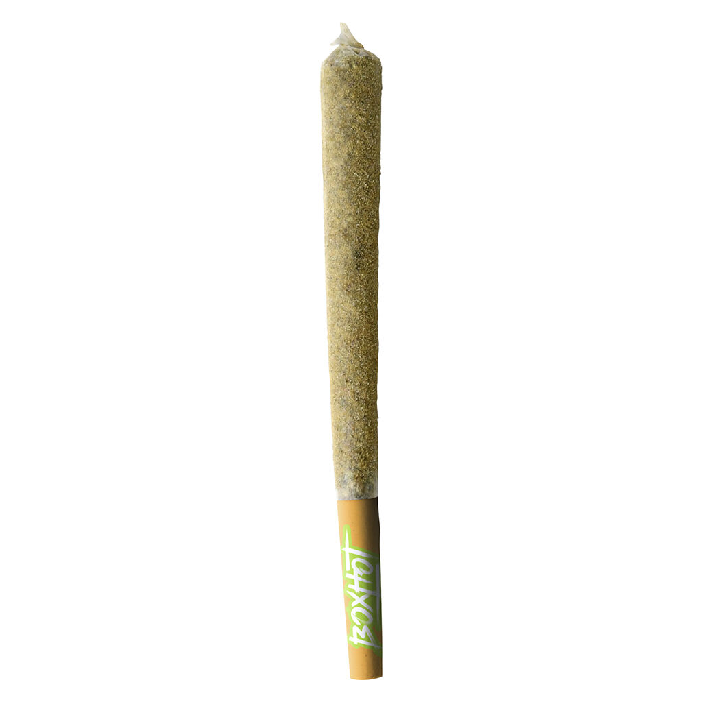 BOXHOT XL Retro Orange Blast Coated Infused Pre-Roll | Smokey's