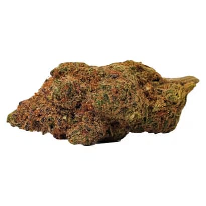 BOLD Orange Crush | Smokey's