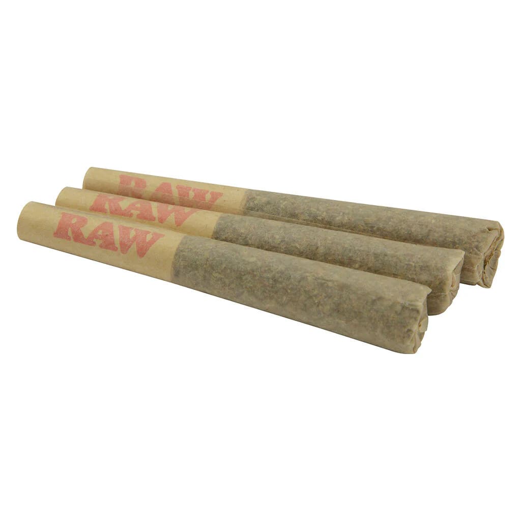 The Florist Sucker Punch Pre-Roll