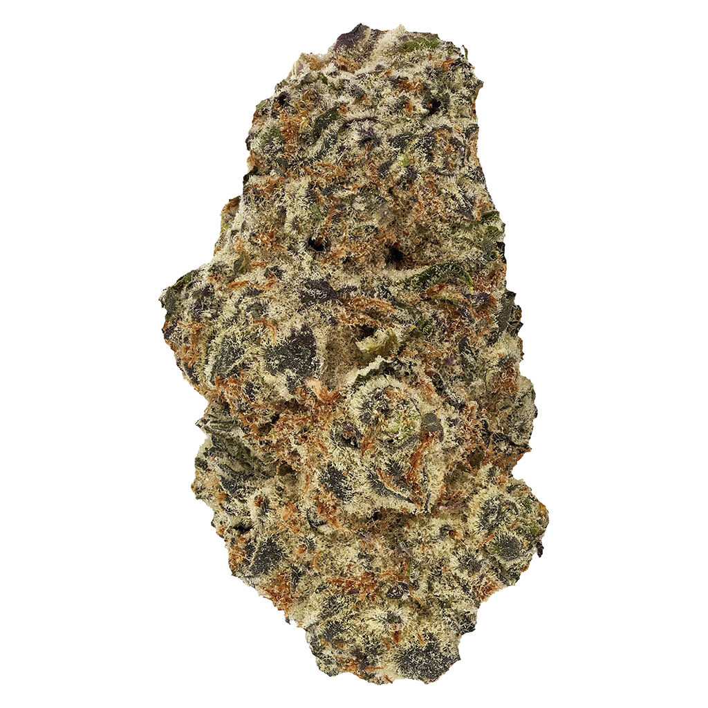 Bud Lafleur Dante'z Inferno | Smokey's