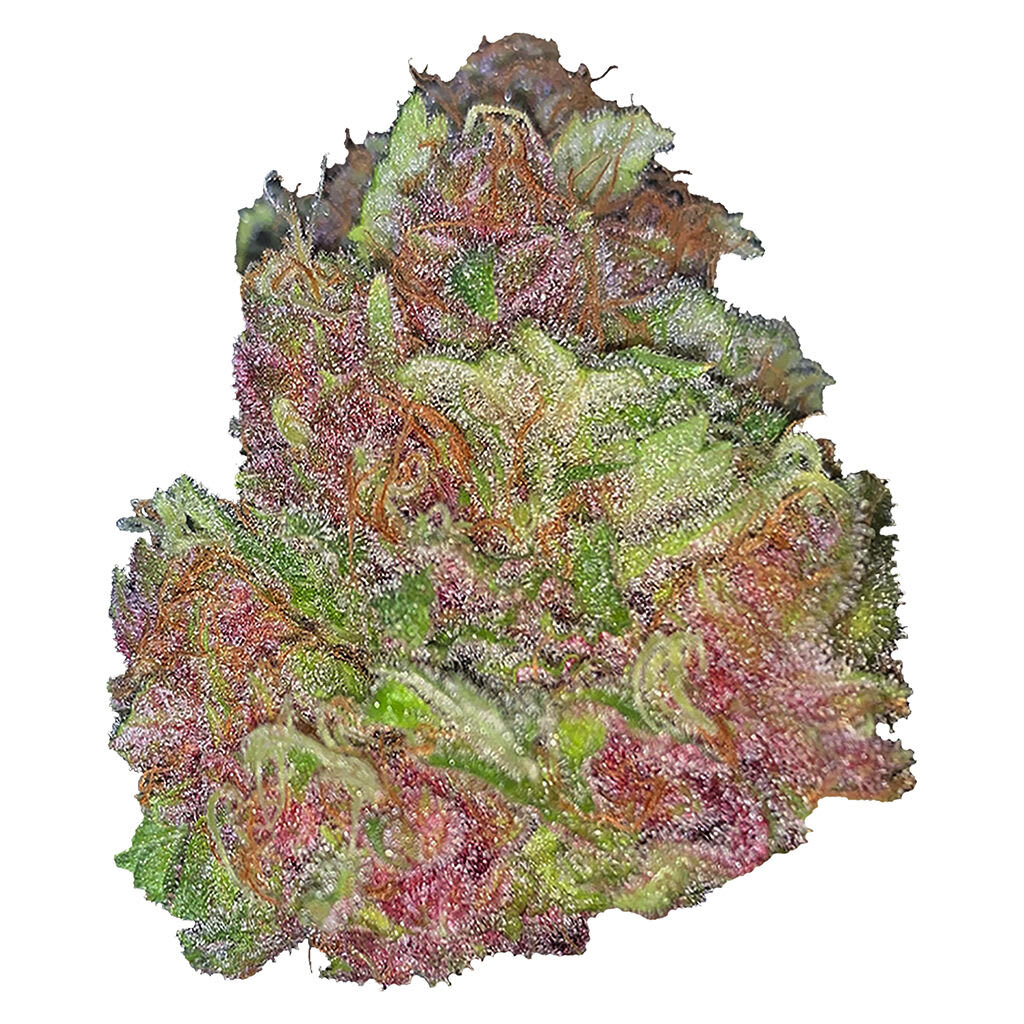 Silky Continental Tropical Papaya | Smokey's