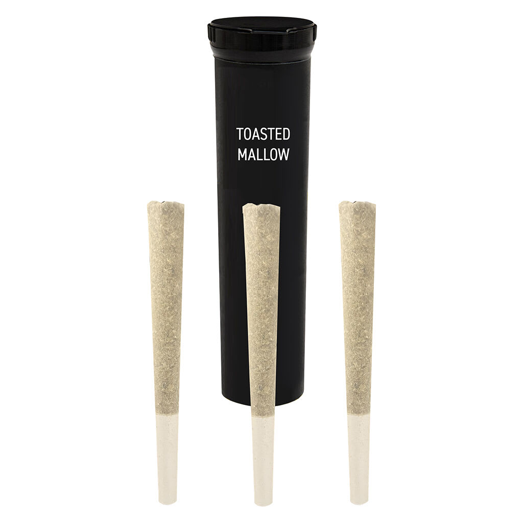 Stunnerz Fuzed Campfire Dream Infused Pre-Roll | Smokey's