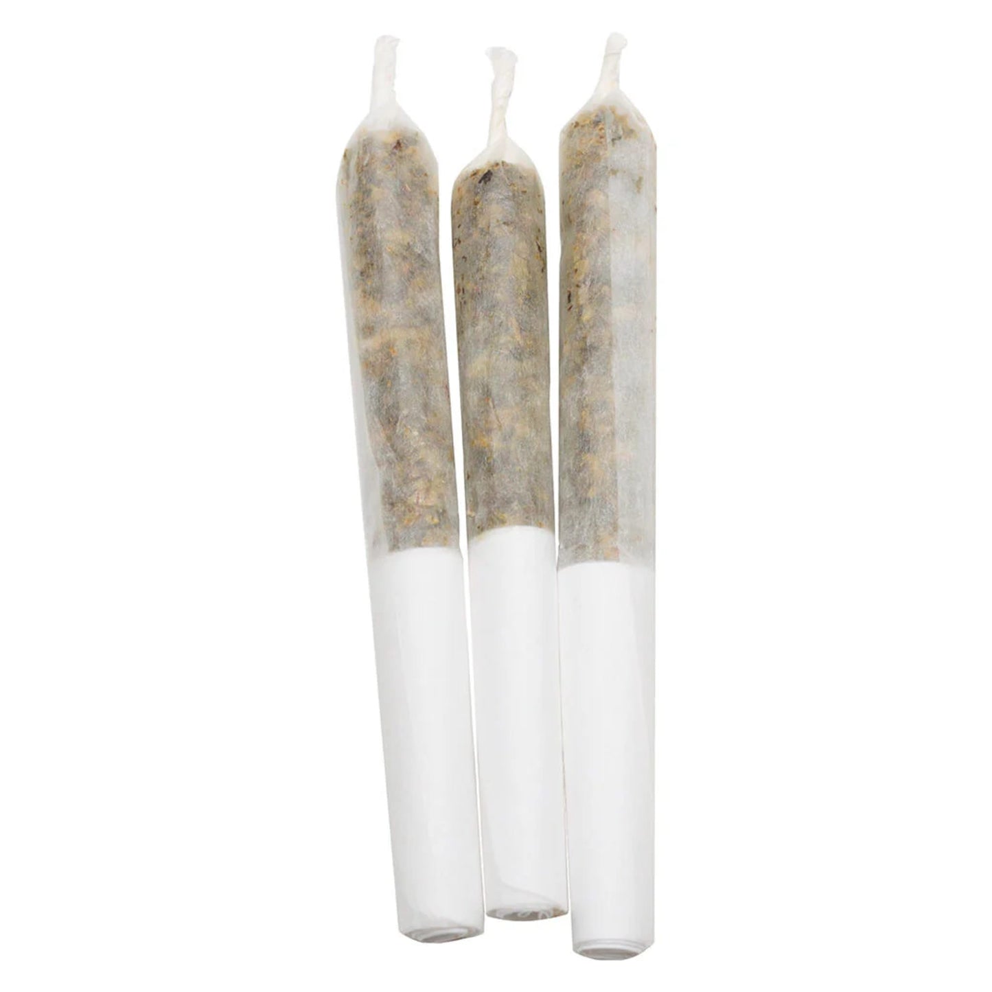 Lamplighter Pineapple Coconut Escape Infused Pre-Roll | Smokey's