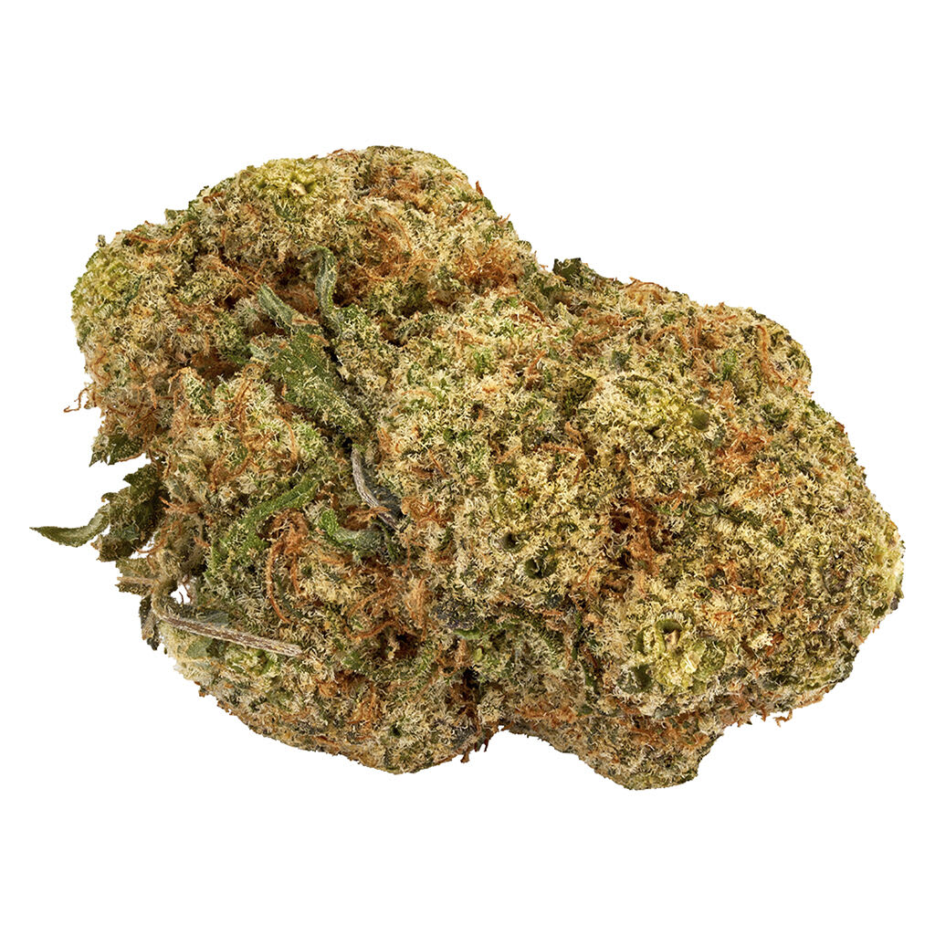 Uncommon Cyclone Berry