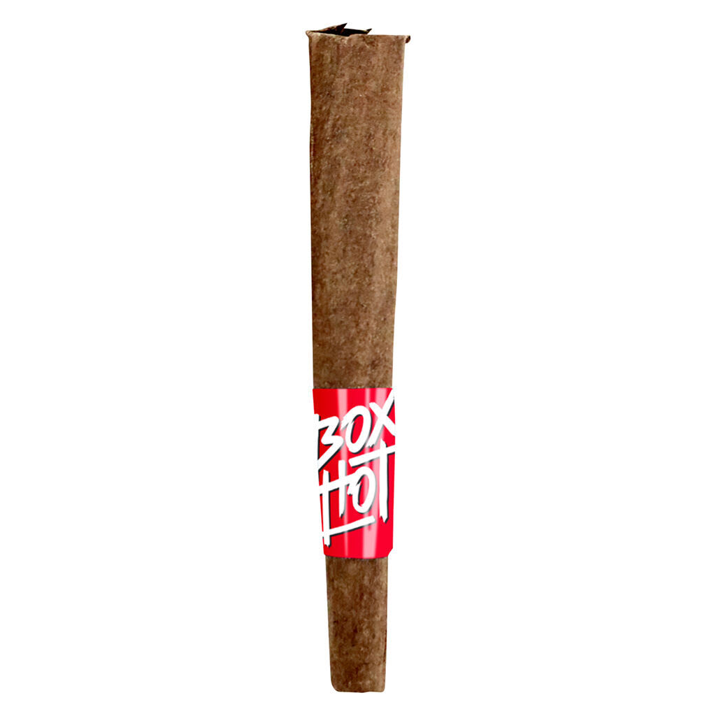 Boxhot Mango Vortex Infused Blunt | Smokey's