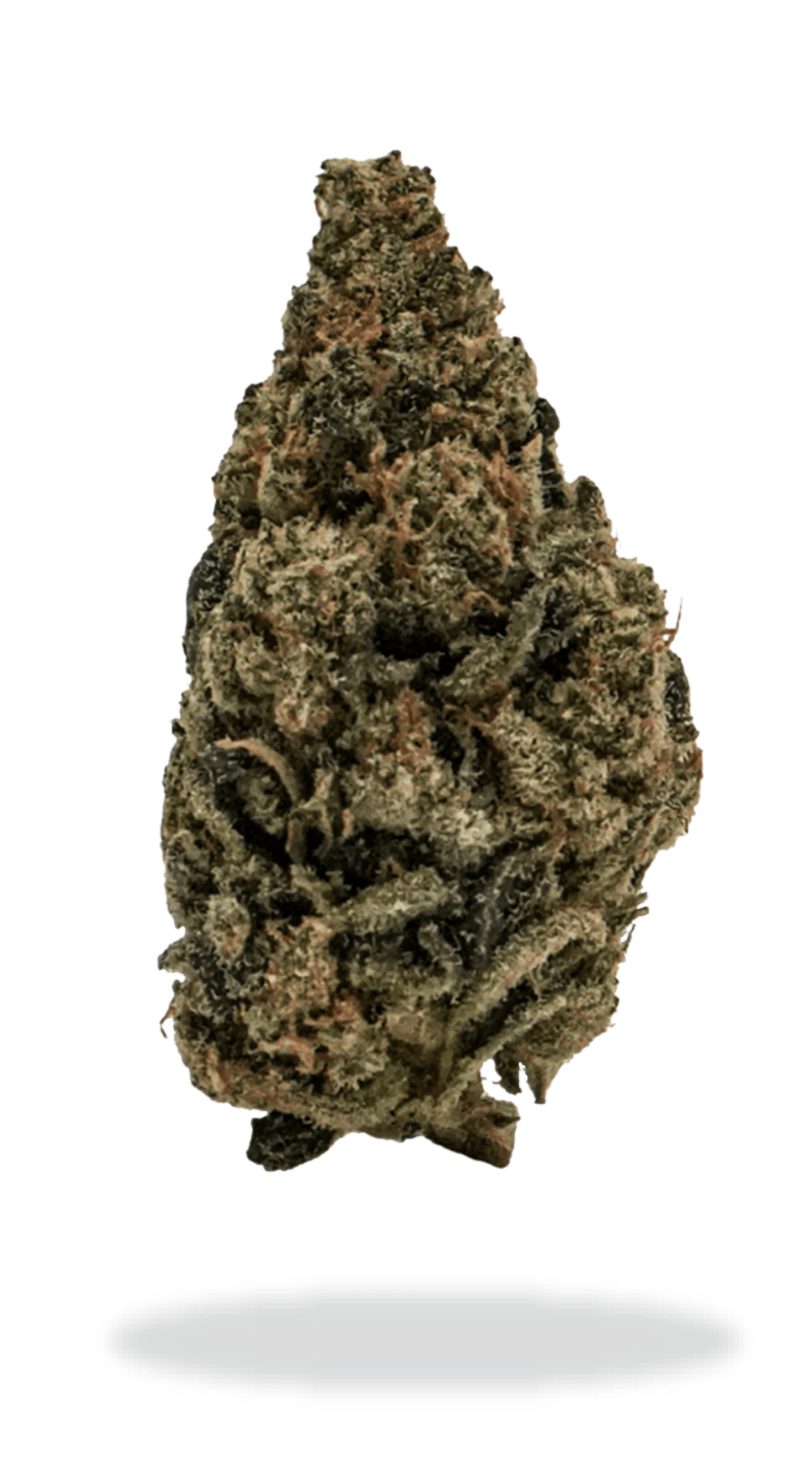 Joi Botanicals Orange Kush Cake | Smokey's