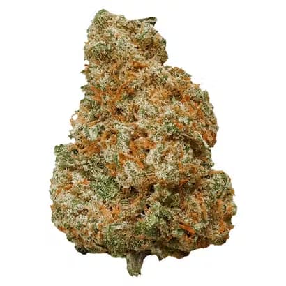 Potluck Mango Dream