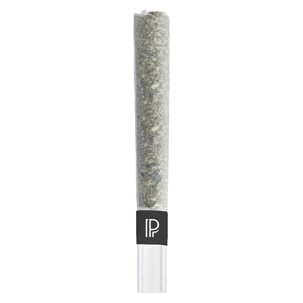 Pistol and Paris Bubble Hash Glass Tip Infused Pre-Roll | Smokey's