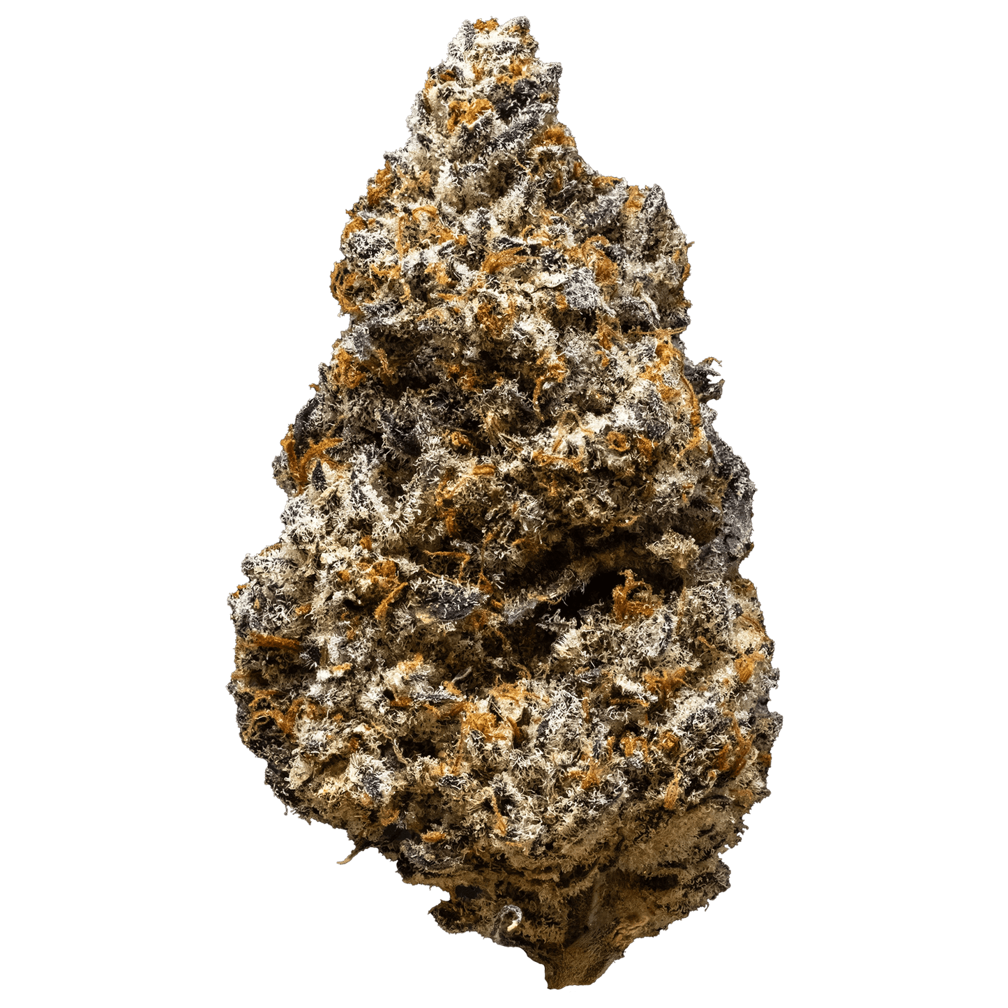3RD Coast Pure Michigan | Smokey's