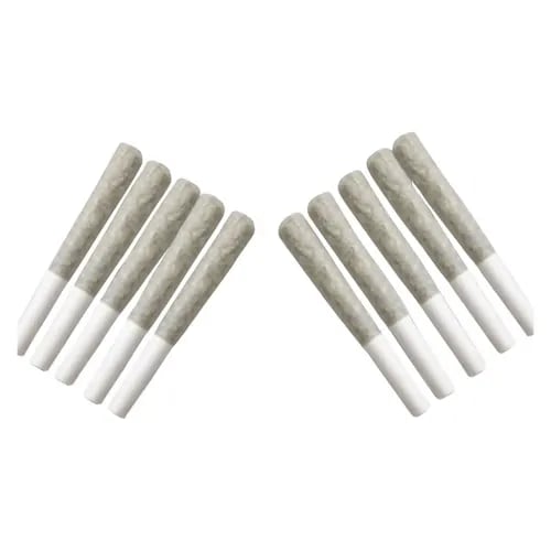 3x1g