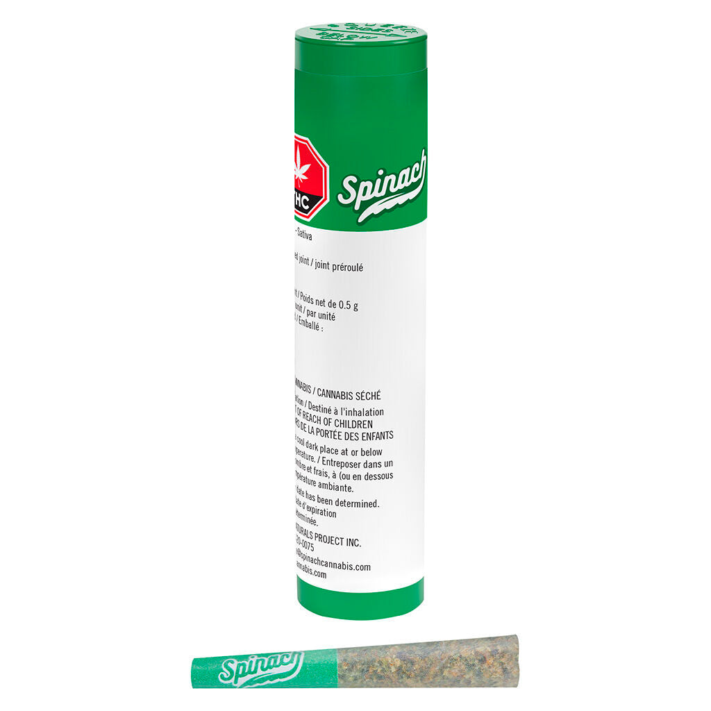 Blue Thai Pre-Roll | Smokey's