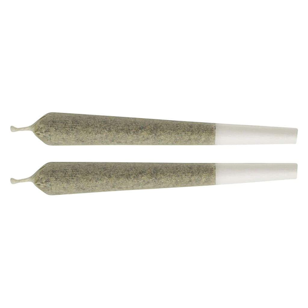 2x1g