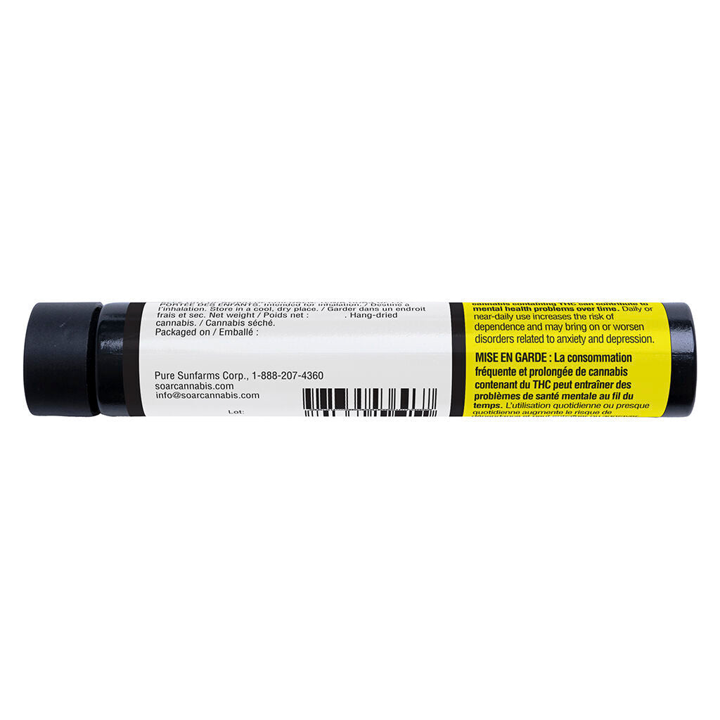 C99 Haze Glass Tip Pre-Roll | Smokey's