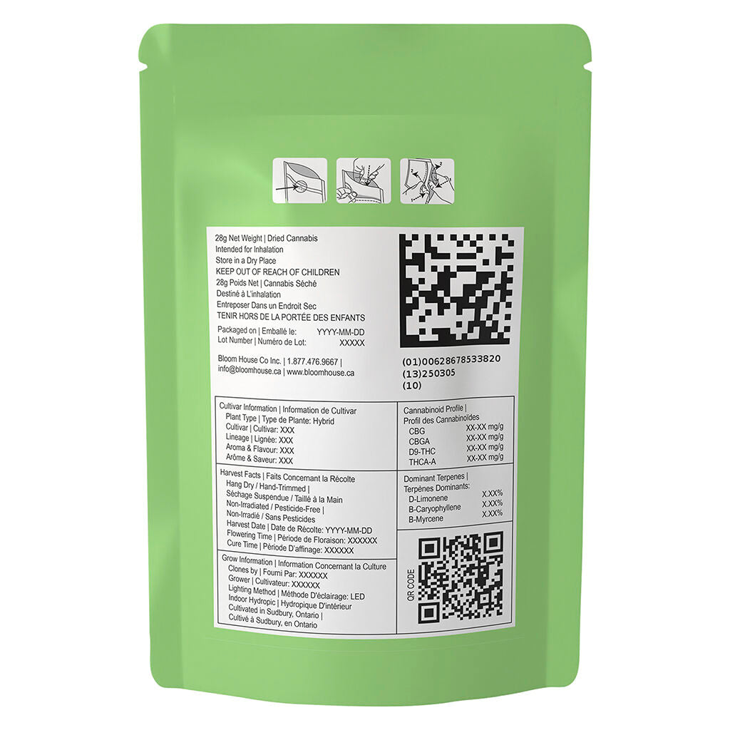 Handy Dandies The Handy Harvest
