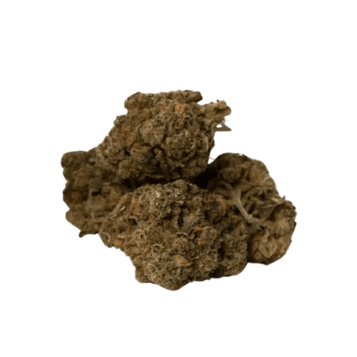 Space Race Event Horizon | Smokey's