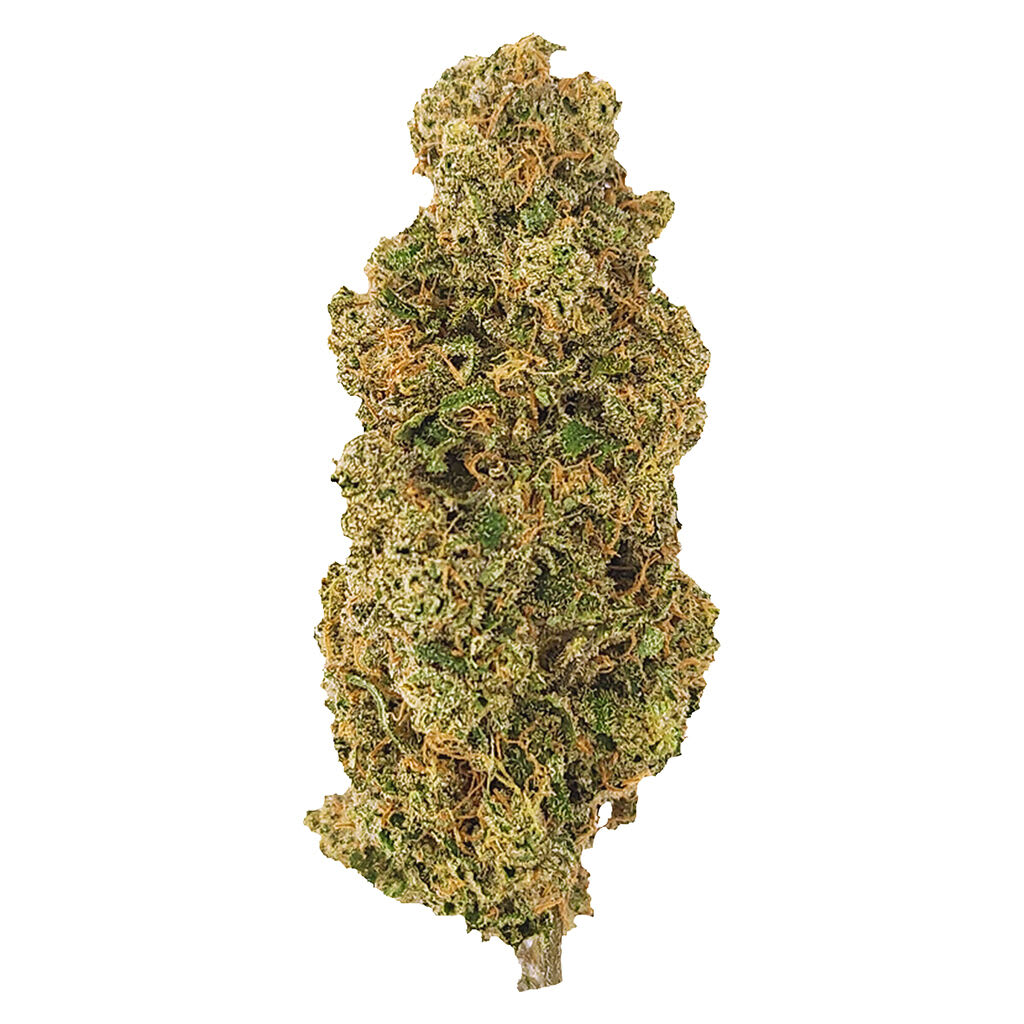 Mendo Roadkill Skunk | Smokey's