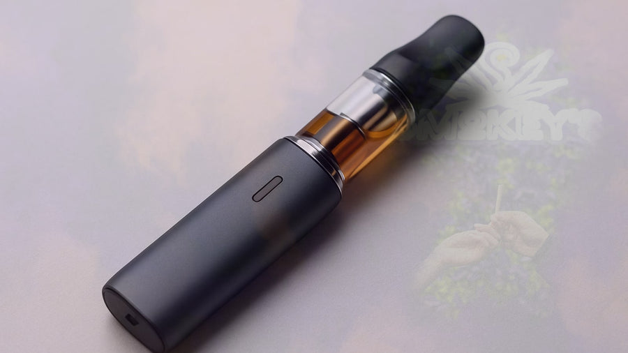 510 Vape Cartridge Guide: Everything You Need to Know – Smokey's cannabis education guide