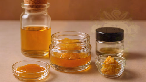 Cannabis Concentrates Guide: Types, Uses & Everything You Need to Know – Smokey's cannabis education guide