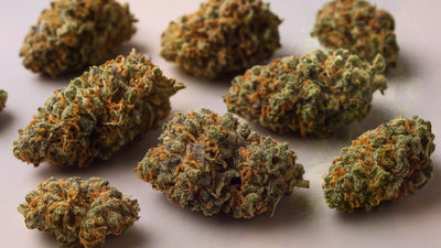 Cannabis Strain Genetics Explained: Understanding Plant Breeding & Lineage – Smokey's cannabis education guide