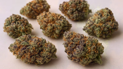 Cannabis Phenotypes Explained: Understanding Genetic Variations in Cannabis Plants – Smokey's cannabis education guide