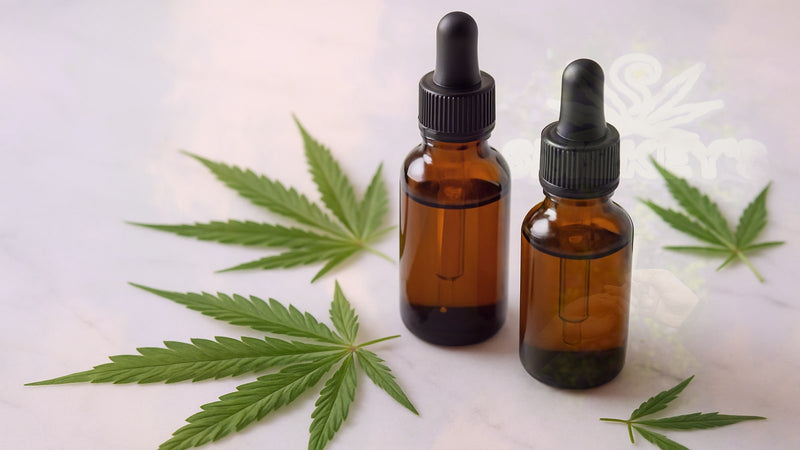 CBD Isolate vs Full Spectrum: Understanding CBD Without THC Products – Smokey's cannabis education guide