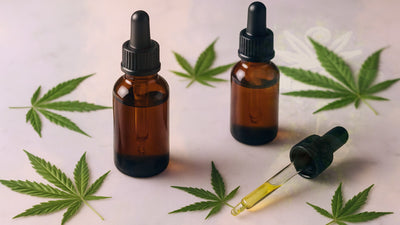 CBD vs THC: Understanding the Key Differences Between Cannabis Compounds – Smokey's cannabis education guide