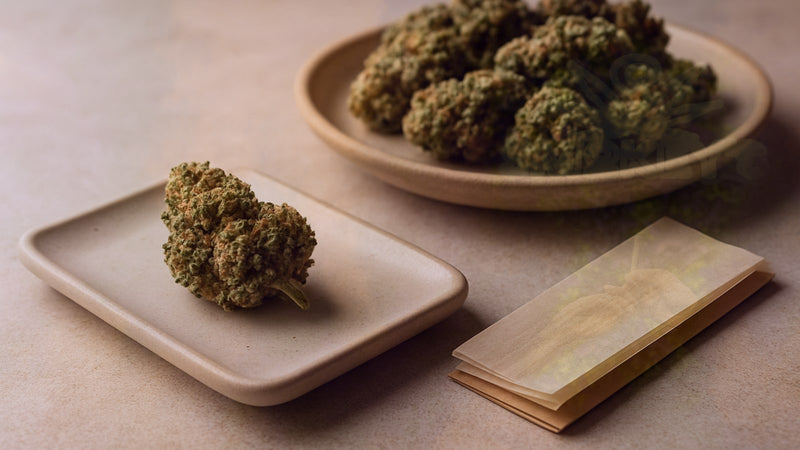 Small Batch Craft Cannabis: Understanding Quality Cannabis Production – Smokey's cannabis education guide