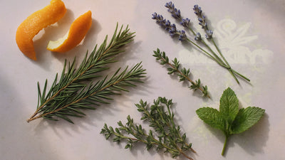 Entourage Effect Explained: How Cannabis Compounds Work Together – Smokey's cannabis education guide