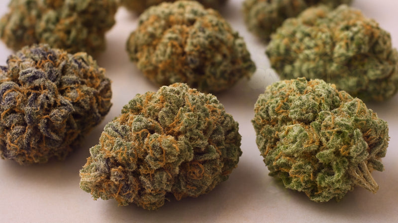 How to Choose the Right Cannabis Strain: A Complete Guide for 2024 – Smokey's cannabis education guide