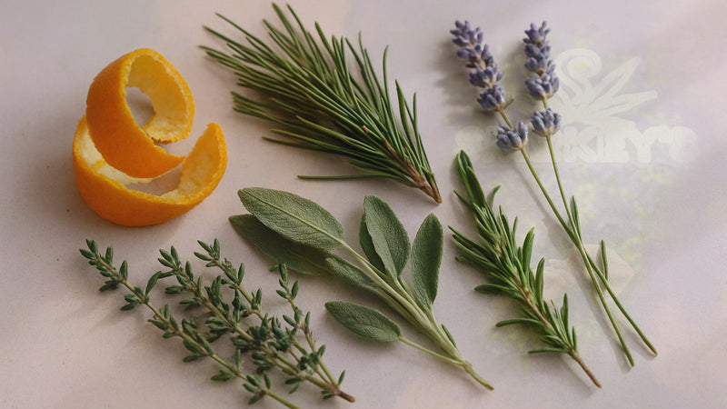 How to Identify Cannabis Terpenes by Smell: A Complete Guide – Smokey's cannabis education guide