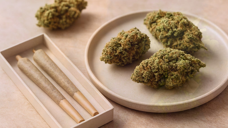 Indica vs Sativa Pre-Rolls: Complete Guide to Choosing the Right Type – Smokey's cannabis education guide