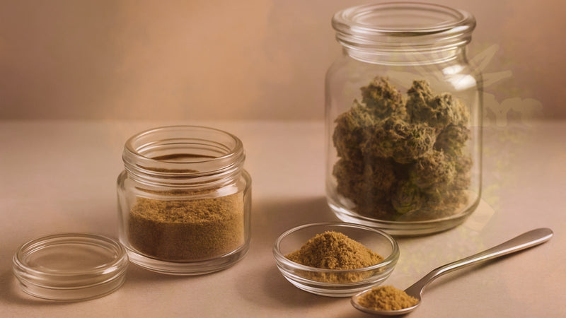 Kief Collection and Use: Complete Guide to Cannabis Trichome Harvesting – Smokey's cannabis education guide