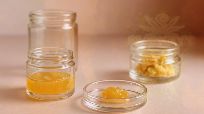 What is Live Rosin? The Complete Guide to Solventless Cannabis Concentrates – Smokey's cannabis education guide