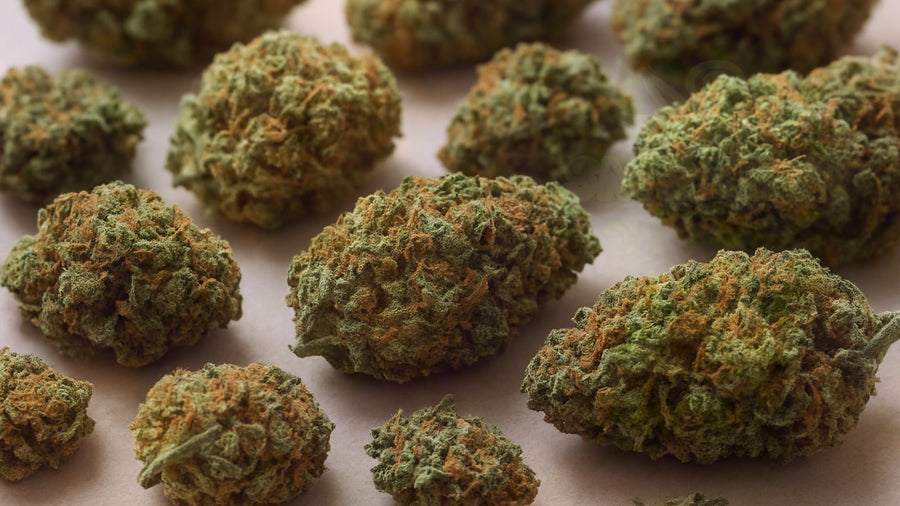 Popular Cannabis Strains in Canada: Complete Guide to Top Varieties – Smokey's cannabis education guide