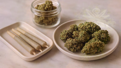 Pre-Rolls vs Flower: Complete Comparison Guide for Canadian Cannabis Consumers – Smokey's cannabis education guide