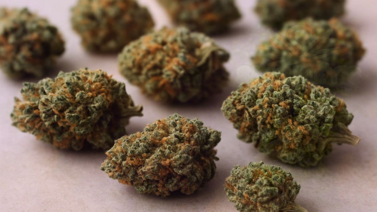 Relaxing Cannabis Strains: Your Complete Guide to Calming Varieties – Smokey's cannabis education guide