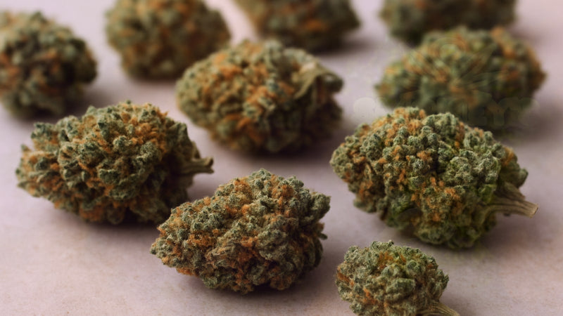 Relaxing Cannabis Strains: Your Complete Guide to Calming Varieties – Smokey's cannabis education guide