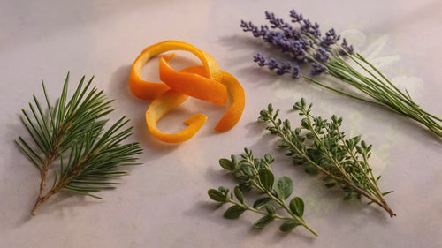 Relaxing Terpene Profiles: A Guide to Cannabis's Calming Compounds – Smokey's cannabis education guide