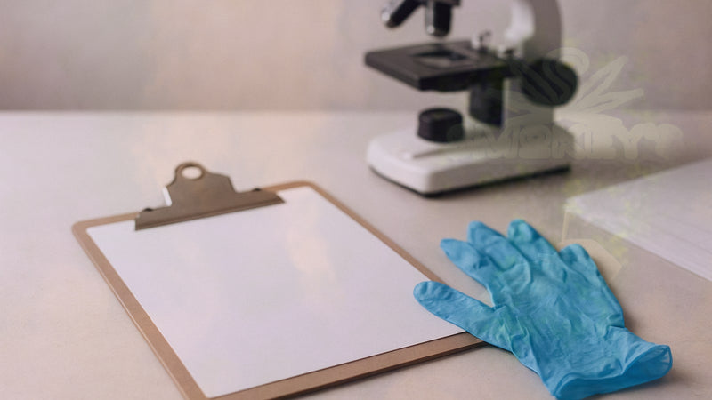 Cannabis Terpene Testing Explained: A Complete Guide to Lab Analysis – Smokey's cannabis education guide