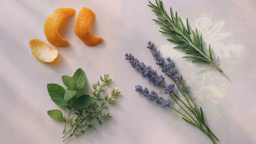 Uplifting Terpene Profiles: Your Guide to Energizing Cannabis Compounds – Smokey's cannabis education guide