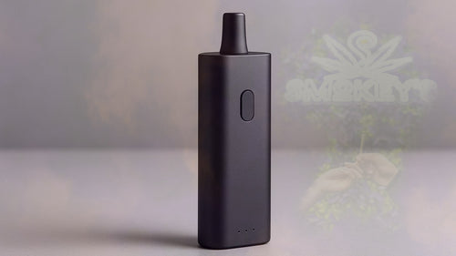 Cannabis Vape Battery Guide: Everything You Need to Know – Smokey's cannabis education guide