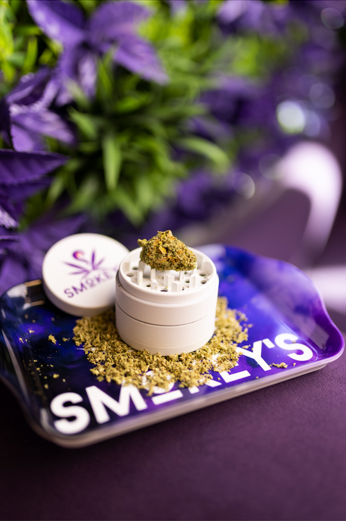 Sativa