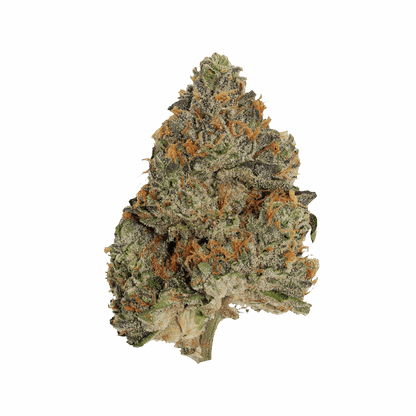 Pistol and Paris Blue Zushi | Smokey's
