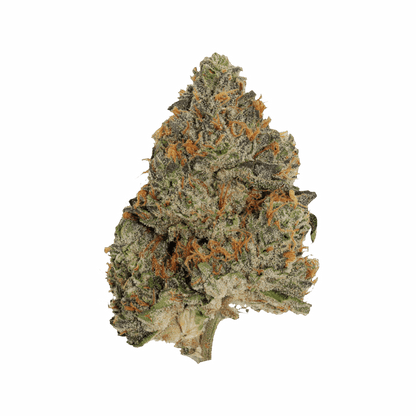 Pistol and Paris Blue Zushi | Smokey's