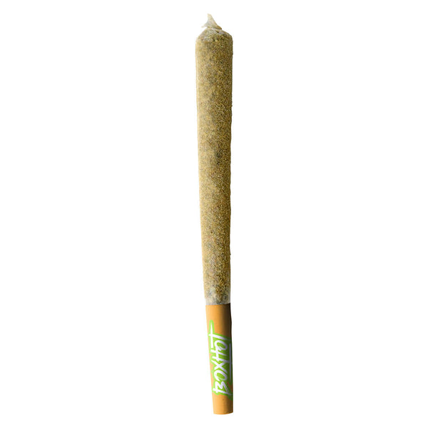 BOXHOT XL Retro Orange Blast Coated Infused Pre-Roll — Smokey's | Hybrid PR | Cannabis Delivery & Pickup