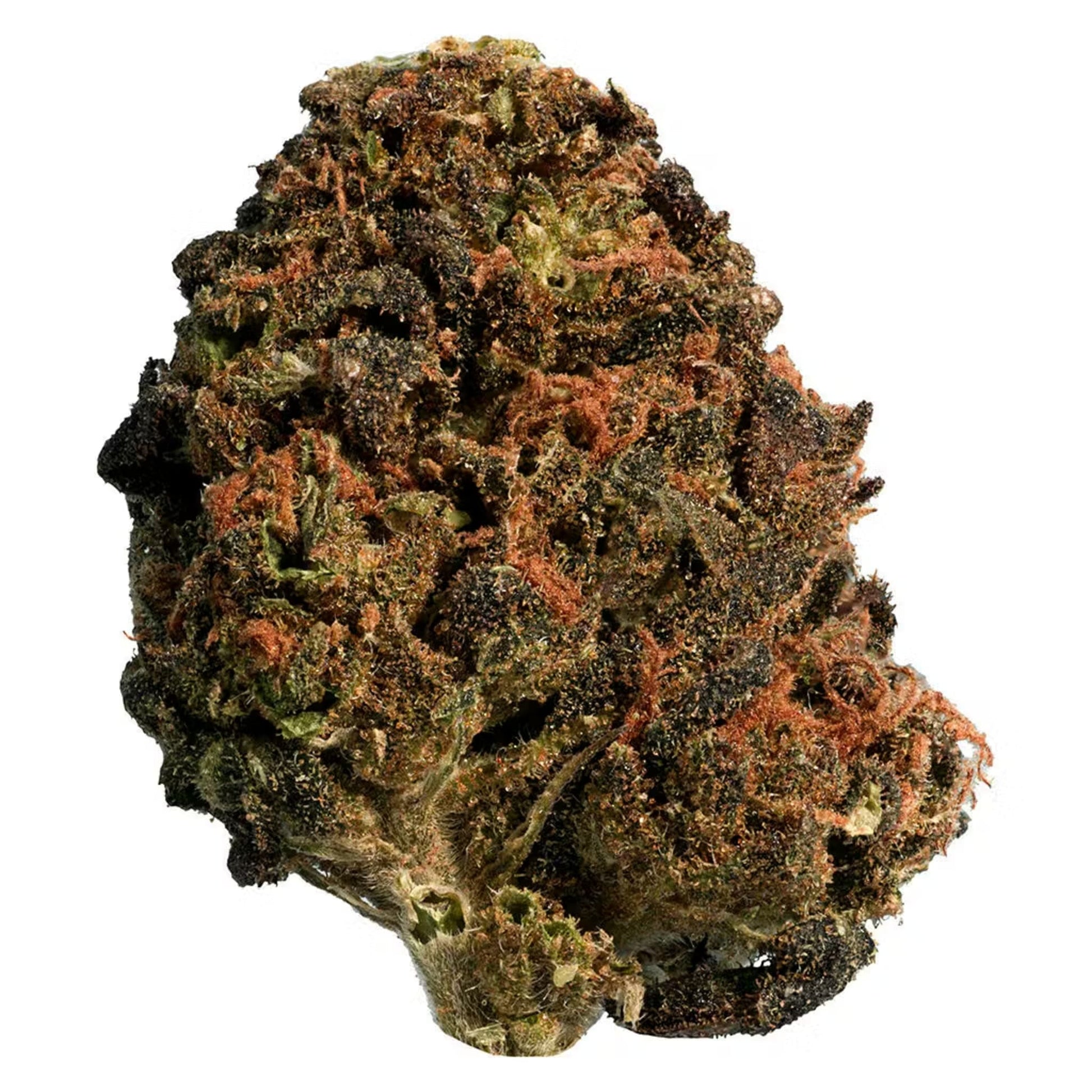 Thrifty BC Organic Sun Grown Mango Sapphire | Smokey's