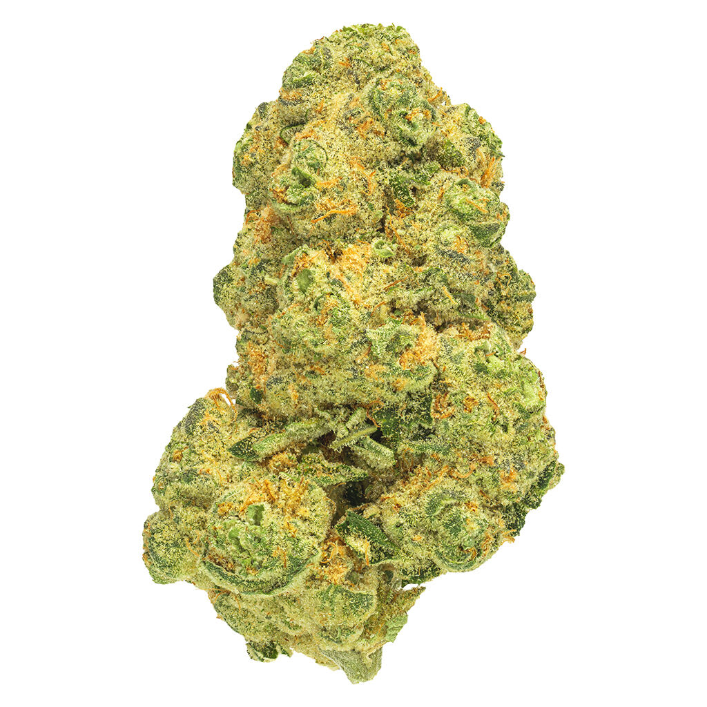 San Rafael '71 Cosmic Cream | Smokey's