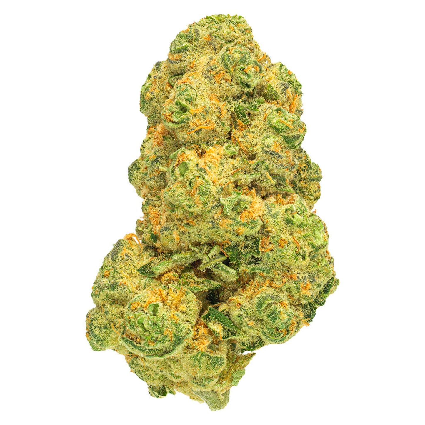 San Rafael '71 Cosmic Cream | Smokey's