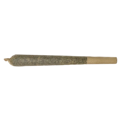 XPLOR Level X Alien Limeade Infused Pre-Roll | Smokey's
