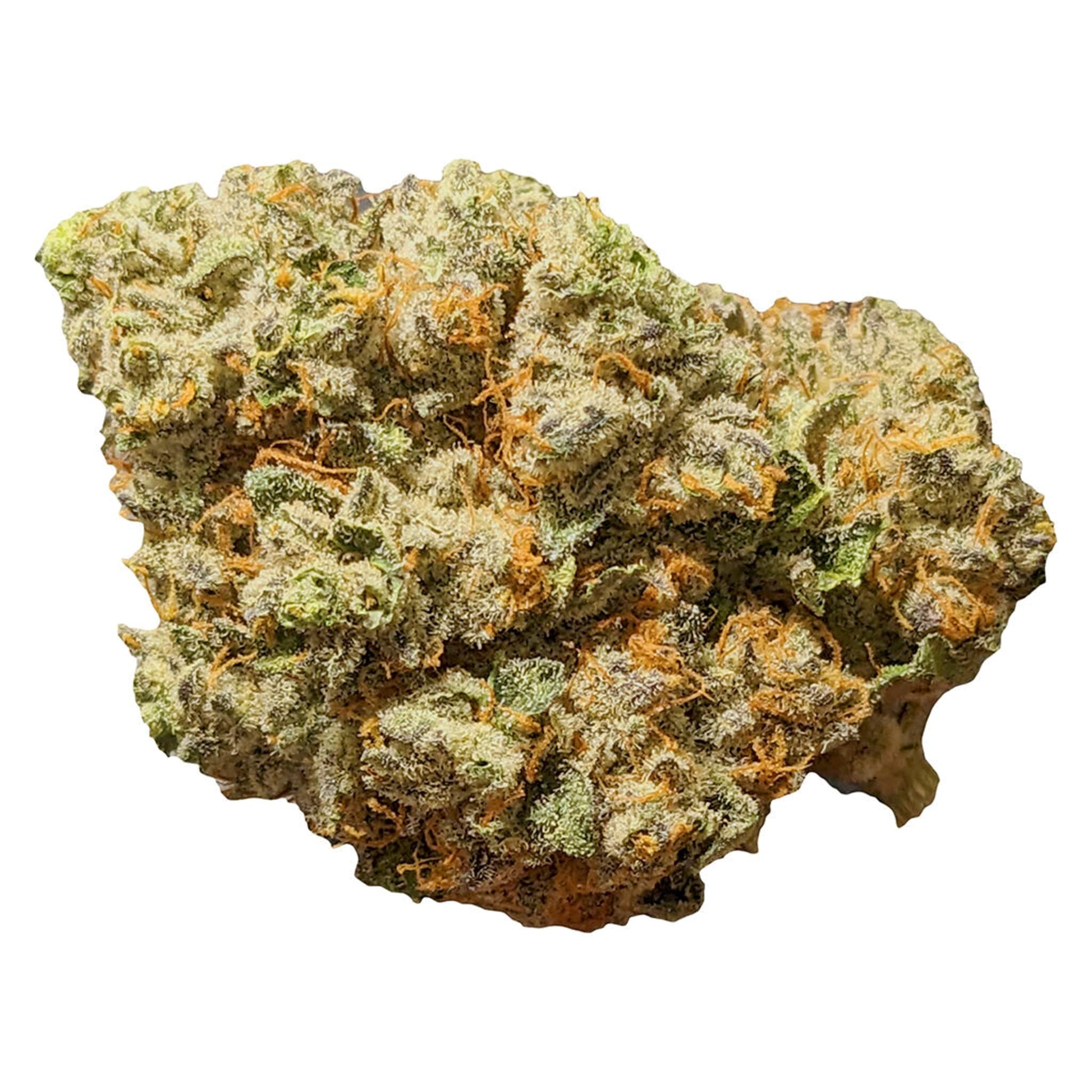 Greybeard Critical Diesel | Smokey's